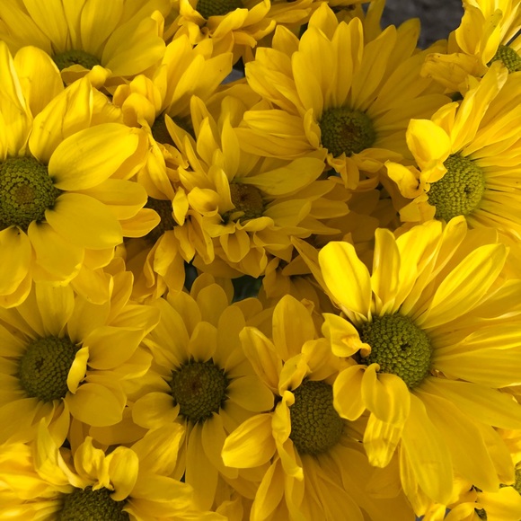 Meet your Posher, Marian - Picture 2 of 2